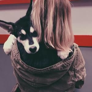 Meet your Posher, Adrienne